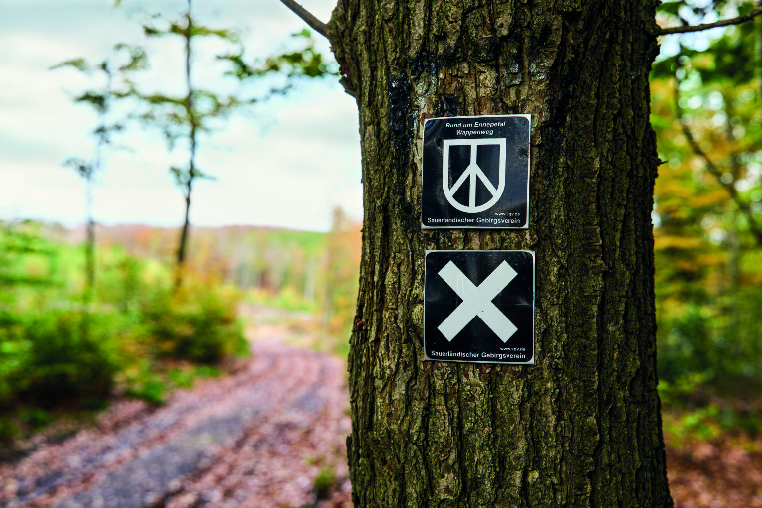 wanderwelt südspitzen, bei ennepetal, ruhrgebiet überregional